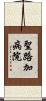 聖路加病院 Scroll