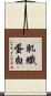 肌纖蛋白 Scroll