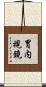 胃内視鏡 Scroll