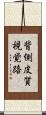 背側皮質視覚路 Scroll