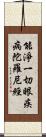 能淨一切眼疾病陀羅尼經 Scroll