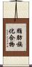 脂肪族化合物 Scroll