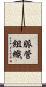 脈管組織 Scroll