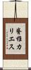 脊椎カリエス Scroll