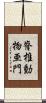 脊椎動物亜門 Scroll