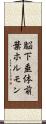脳下垂体前葉ホルモン Scroll