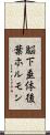 脳下垂体後葉ホルモン Scroll