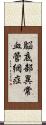 脳底部異常血管網症 Scroll