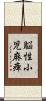 脳性小児麻痺 Scroll