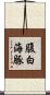 腹白海豚 Scroll