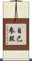 自己参照 Scroll
