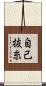 自己抜糸 Scroll