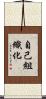 自己組織化 Scroll