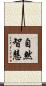 自然智慧 Scroll