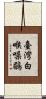 臺灣白喉噪鶥 Scroll
