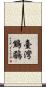 臺灣鷦鶥 Scroll