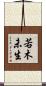 若木未生 Scroll