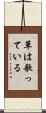 草は歌っている Scroll