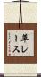 草レース Scroll
