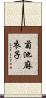 菊池麻衣子 Scroll