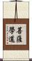 菩薩學道 Scroll