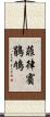 菲律賓鵑鳩 Scroll