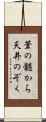 葦の髄から天井のぞく Scroll