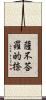 薩不荅羅的捺 Scroll