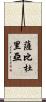 Sabiduria Scroll