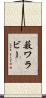 薮ワラビー Scroll