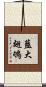 藍大翅鴝 Scroll