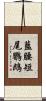 藍腰短尾鸚鵡 Scroll