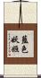 藍色妖姬 Scroll
