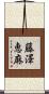 藤澤恵麻 Scroll