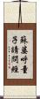 蘇婆呼童子請問經 Scroll