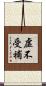 虛不受補 Scroll