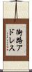 街路アドレス Scroll