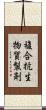 複合抗生物質製剤 Scroll