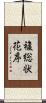 複総状花序 Scroll