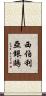 西伯利亞銀鷗 Scroll