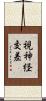 視神経交差 Scroll