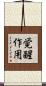 覚醒作用 Scroll