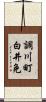 調川町白井免 Scroll