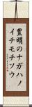 豊明のナガハノイチモチソウ Scroll