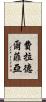 費拉德爾菲亞 Scroll