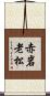 赤岩老松 Scroll