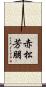 赤松芳朋 Scroll