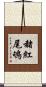 赭紅尾鴝 Scroll