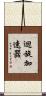 迴旋加速器 Scroll