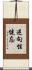 逆向性健忘 Scroll